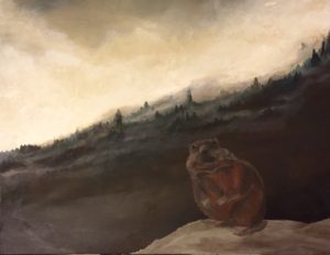 Marmot 30x40